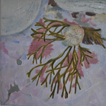 Ledges Series: Number 12