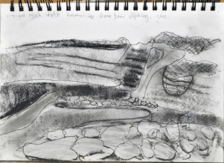Ink and charcoal. Kimmeridge detail.